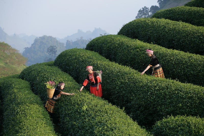 Roaring Twenties Experience